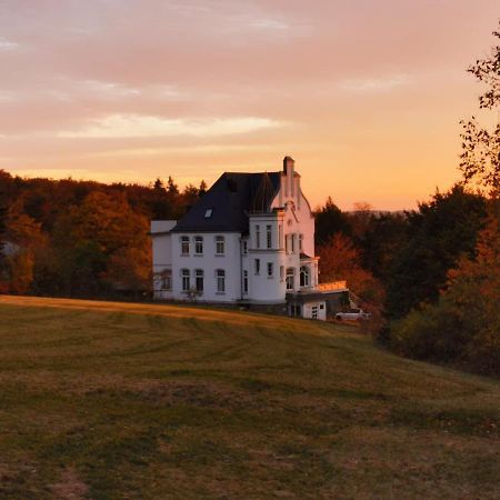 Weissevilla Friedrichsbrunn Fewo Solide Thale Luaran gambar